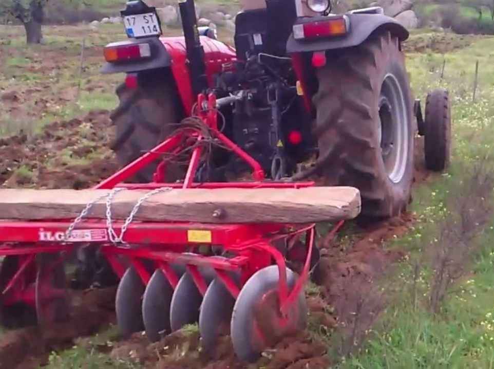 Ayvacık Direk Dikimi