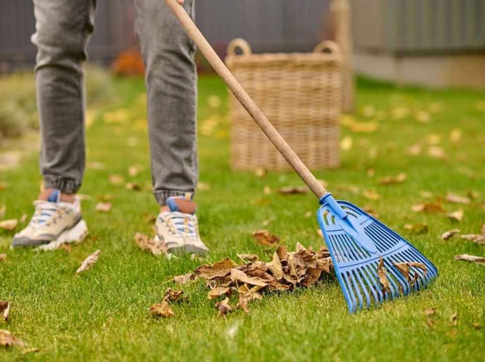 Biga Tarla Temizleme